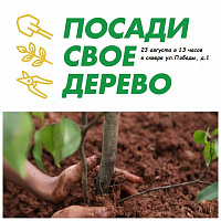 obyavlenie_posadi_derevo